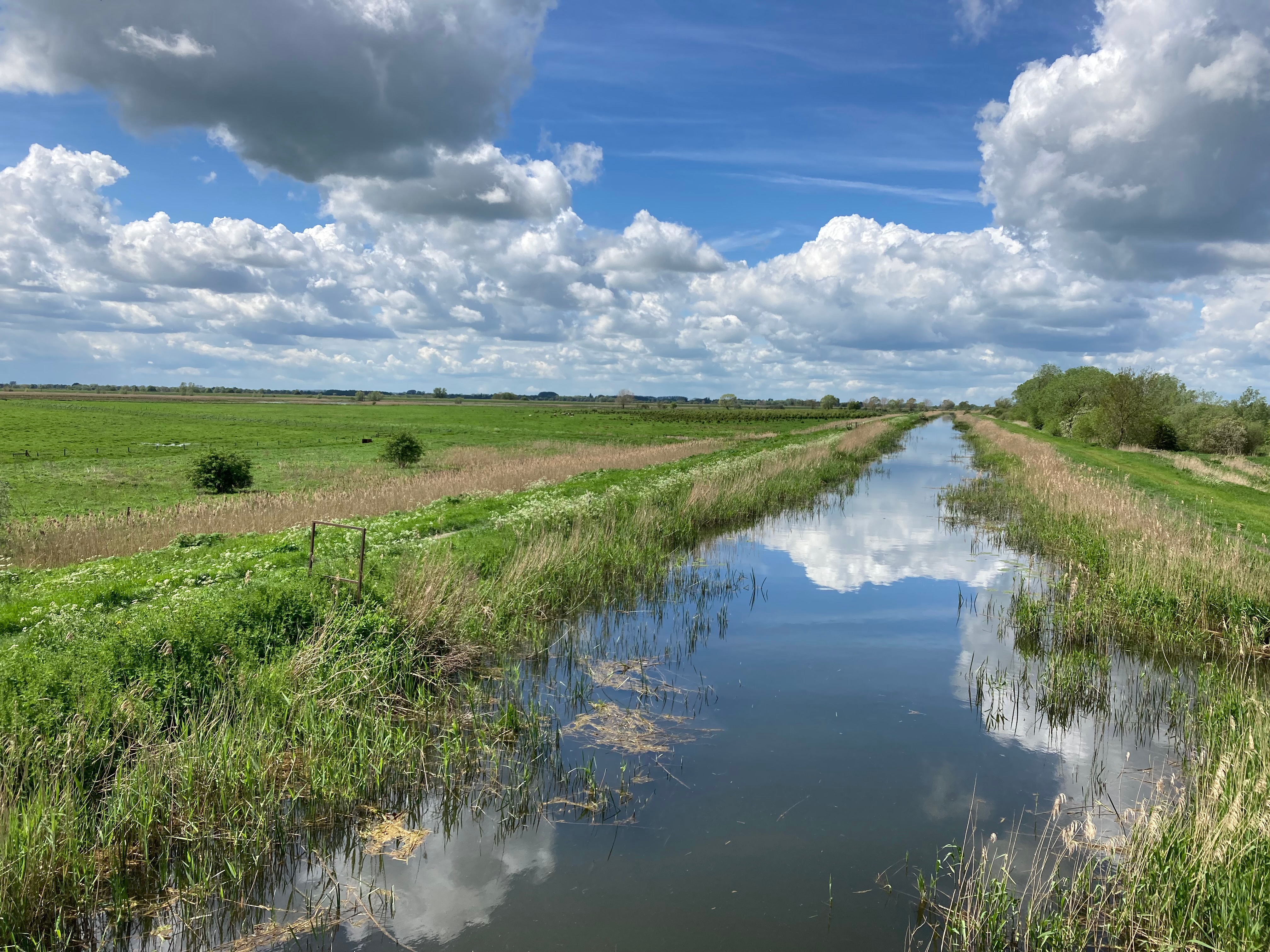 The Fens under a blue sky with white clouds